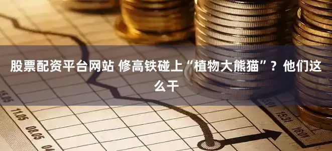 股票配资平台网站 修高铁碰上“植物大熊猫”？他们这么干