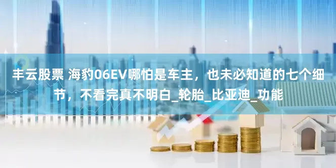 丰云股票 海豹06EV哪怕是车主，也未必知道的七个细节，不看完真不明白_轮胎_比亚迪_功能