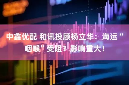 中鑫优配 和讯投顾杨立华：海运“咽喉”受阻？影响重大！