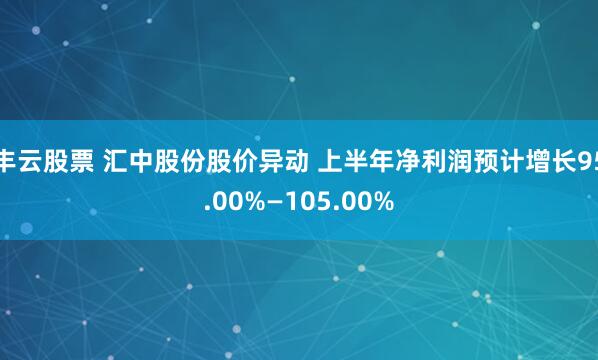 丰云股票 汇中股份股价异动 上半年净利润预计增长95.00%—105.00%