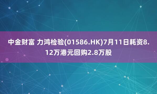 中金财富 力鸿检验(01586.HK)7月11日耗资8.12万港元回购2.8万股