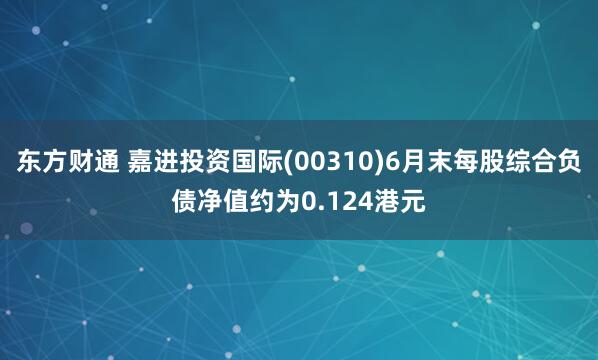 东方财通 嘉进投资国际(00310)6月末每股综合负债净值约为0.124港元