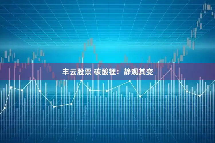 丰云股票 碳酸锂：静观其变