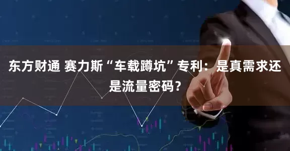 东方财通 赛力斯“车载蹲坑”专利：是真需求还是流量密码？